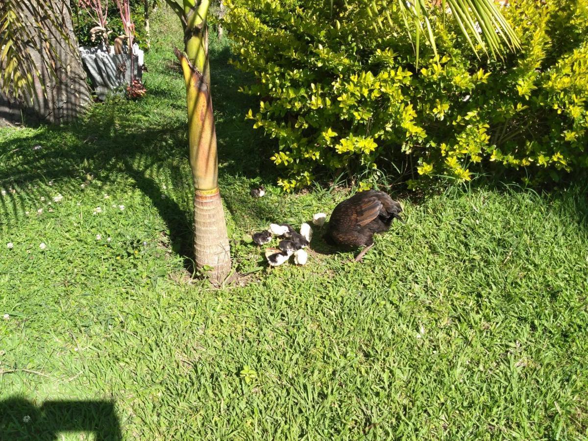 Cabana El Trebol San Agustín Esterno foto